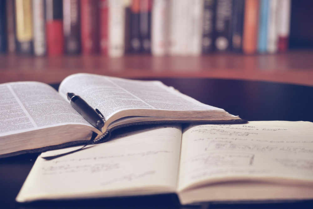 kniha ve strážnici